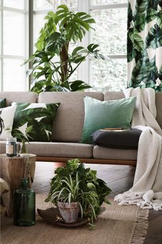 decoration-tropicale-inspiration-galleria-10