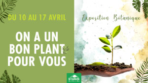 Exposition Botanique 2021 – On a un bon “plant” pour vous !