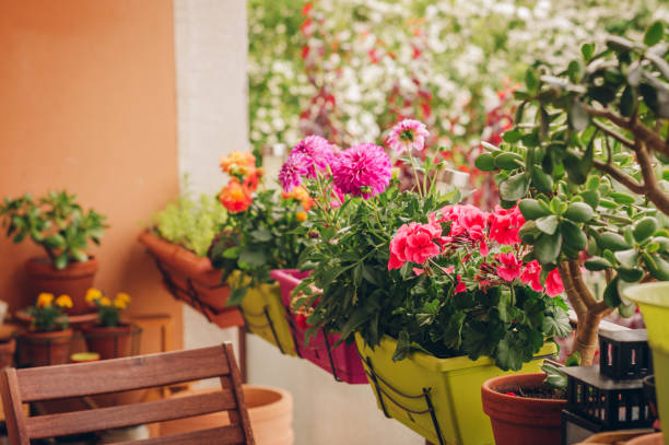 Shopping : les plus beaux cache-pots pour nos plantes d'intérieur 